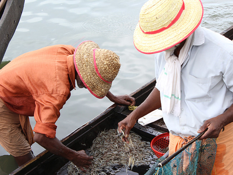 水產(chǎn)養(yǎng)殖水質(zhì)檢測儀分析儀有效分析水體狀況