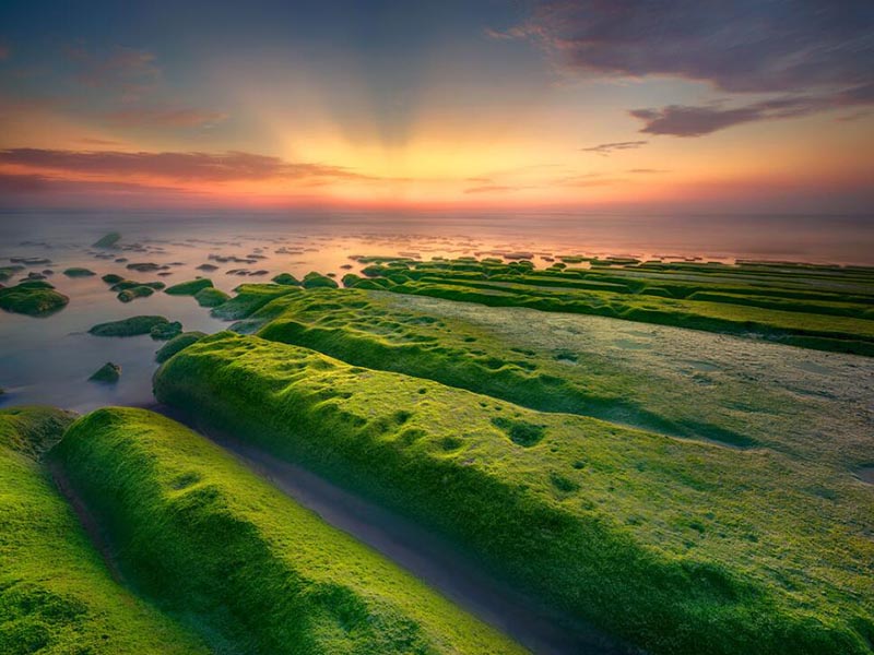 高錳酸鹽指數(shù)和COD的關(guān)系