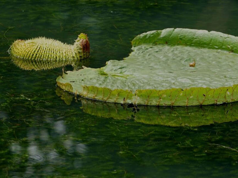 氨氮快速測定儀的使用規(guī)范