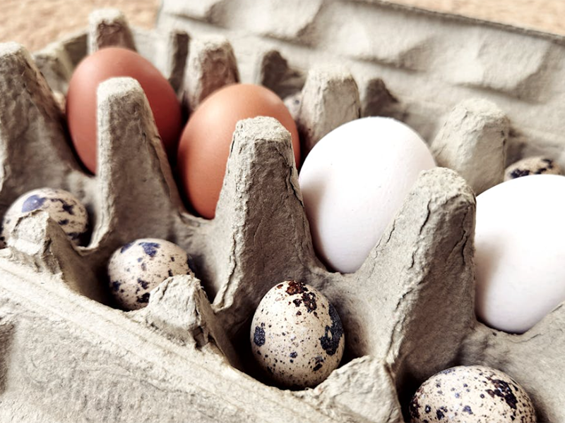 食品安全檢測儀廠家推薦