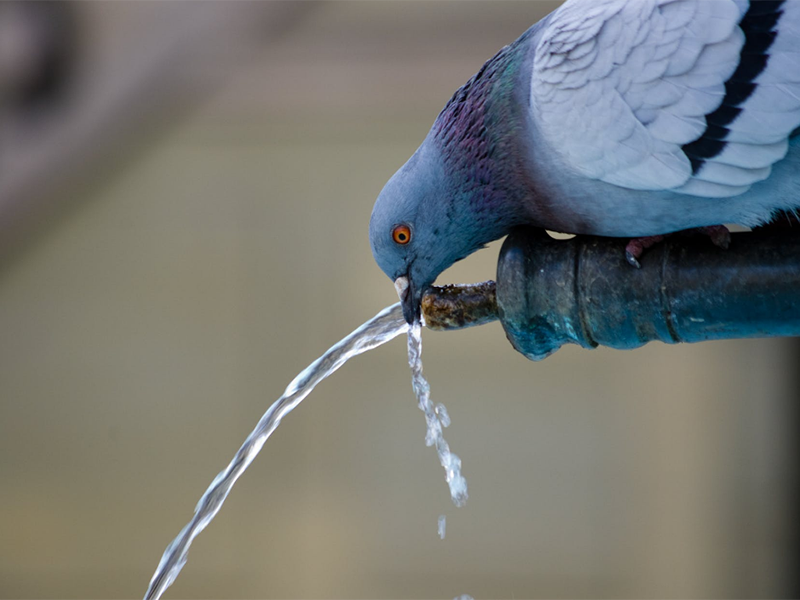 二次供水升級中水質(zhì)監(jiān)測設(shè)備的作用（水質(zhì)監(jiān)測設(shè)備功能特點）