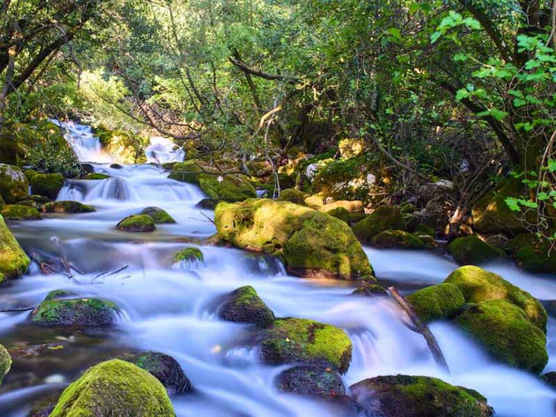 水中藍(lán)綠藻分析儀原理（水中藍(lán)綠藻分析儀使用注意事項(xiàng)）