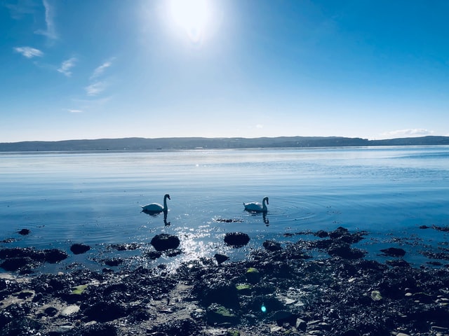 養(yǎng)殖廢水如何處理-污水處理設備-青島樂中環(huán)?？萍加邢薰? /> 
	</p>
<p style=