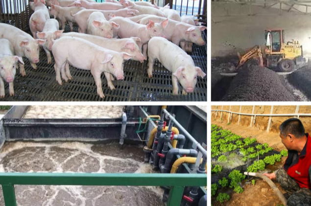 養(yǎng)殖污水處理一體設備多少錢？養(yǎng)殖污水處理方法