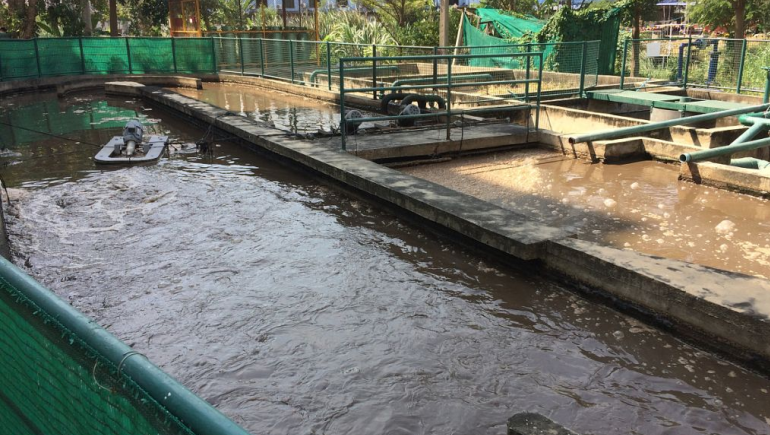 食品加工污水處理流程有哪些？如何更好的處理食品廢水？