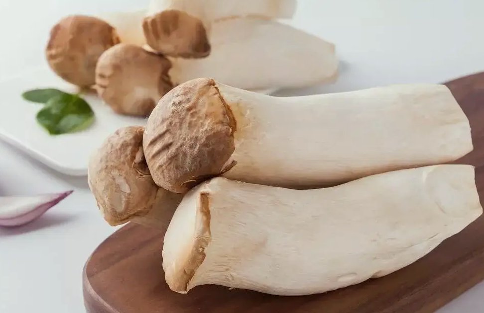 杏鮑菇生產(chǎn)加工廢水排放流程|設(shè)備|廢水排放標準 杏鮑菇生產(chǎn)加工廢水排放流程|設(shè)備|廢水排放標準