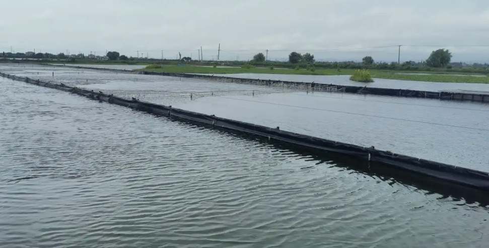 水產(chǎn)養(yǎng)殖尾水處理原理及方法講解（尾水處理設備用途）