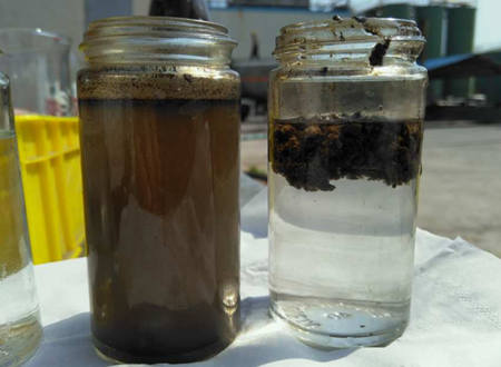 AO工藝出水SS高什么原因|怎么辦？