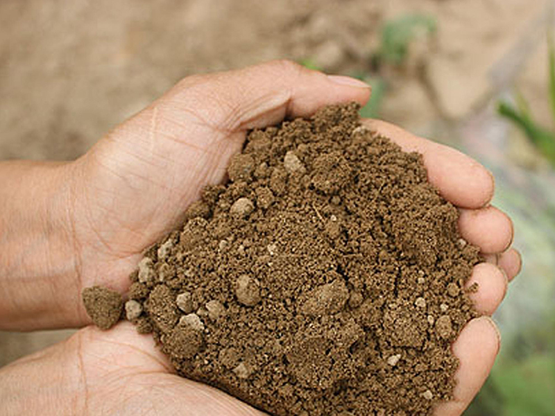 測試土壤儀器.jpg 測試土壤儀器